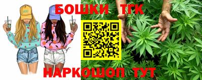 индика Тулун