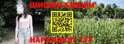индика Тулун