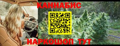 индика Тулун