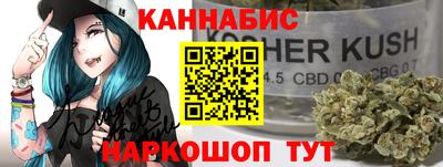 индика Тулун