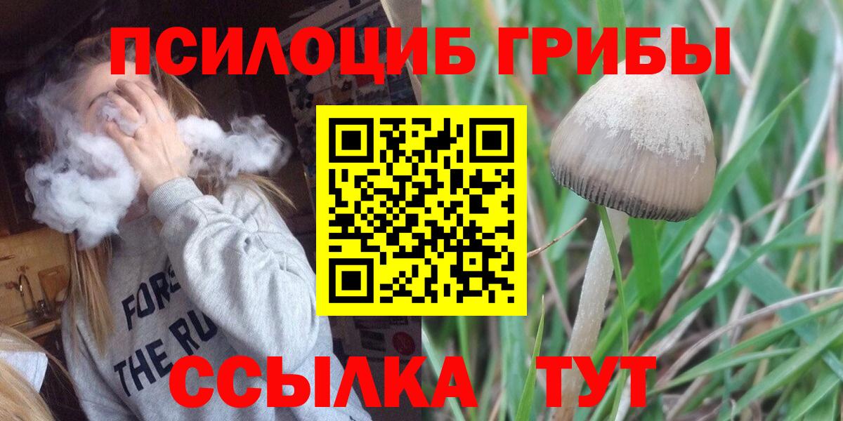 Галлюциногенные грибы мицелий  Вход с VPN  Алексин 